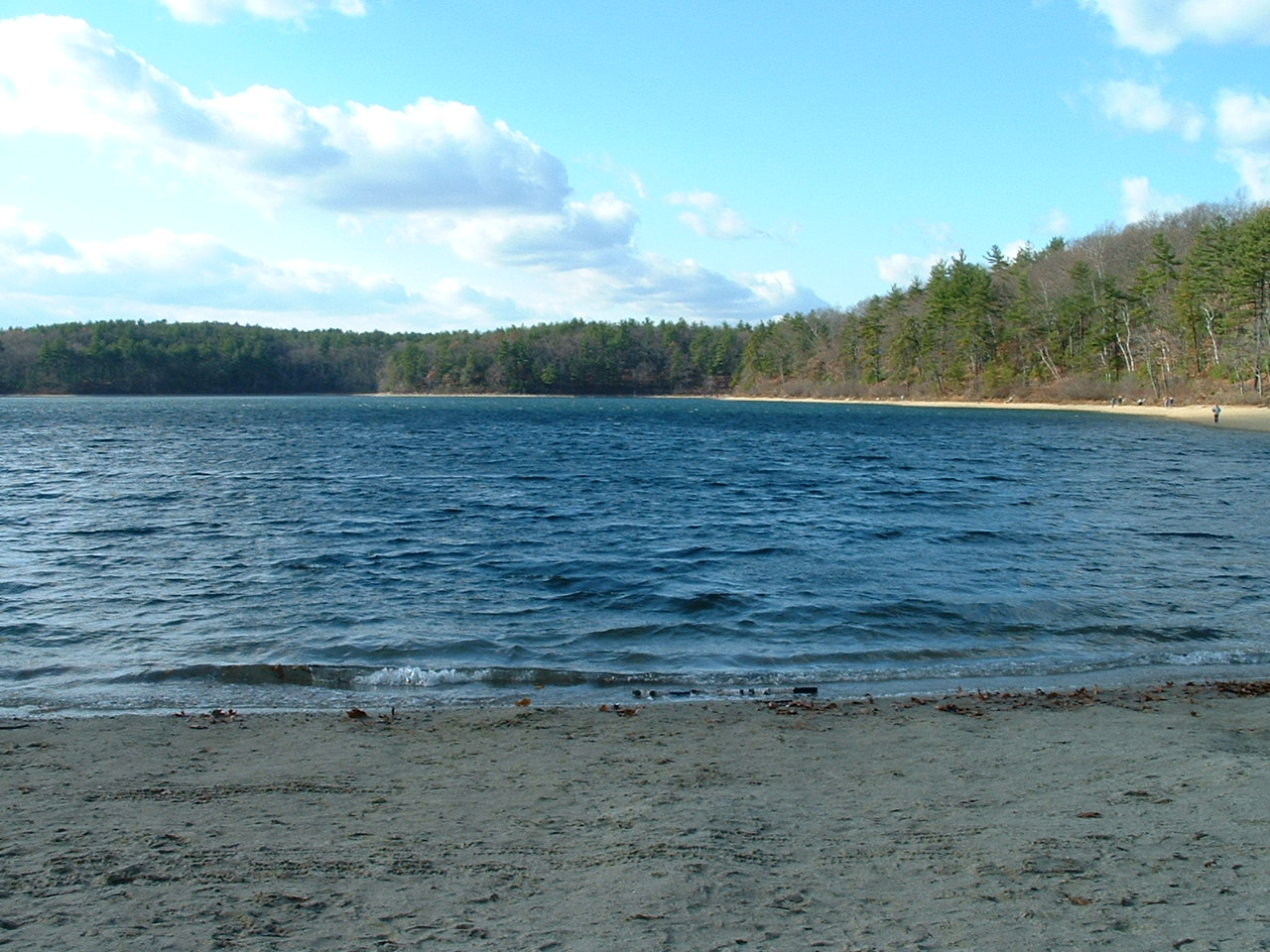walden